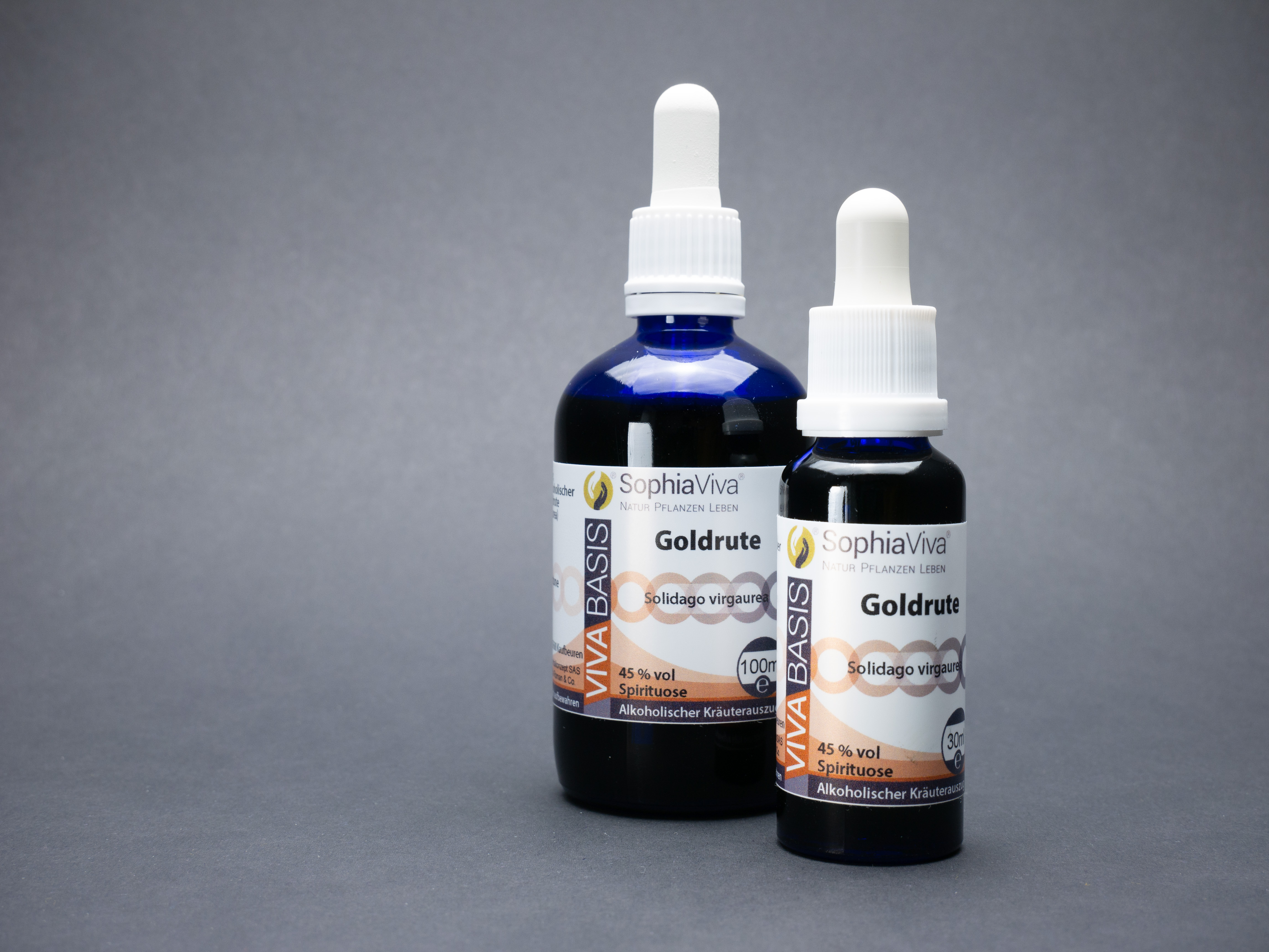 P1160284 VivaBasis Goldrute | Solidago virgaurea