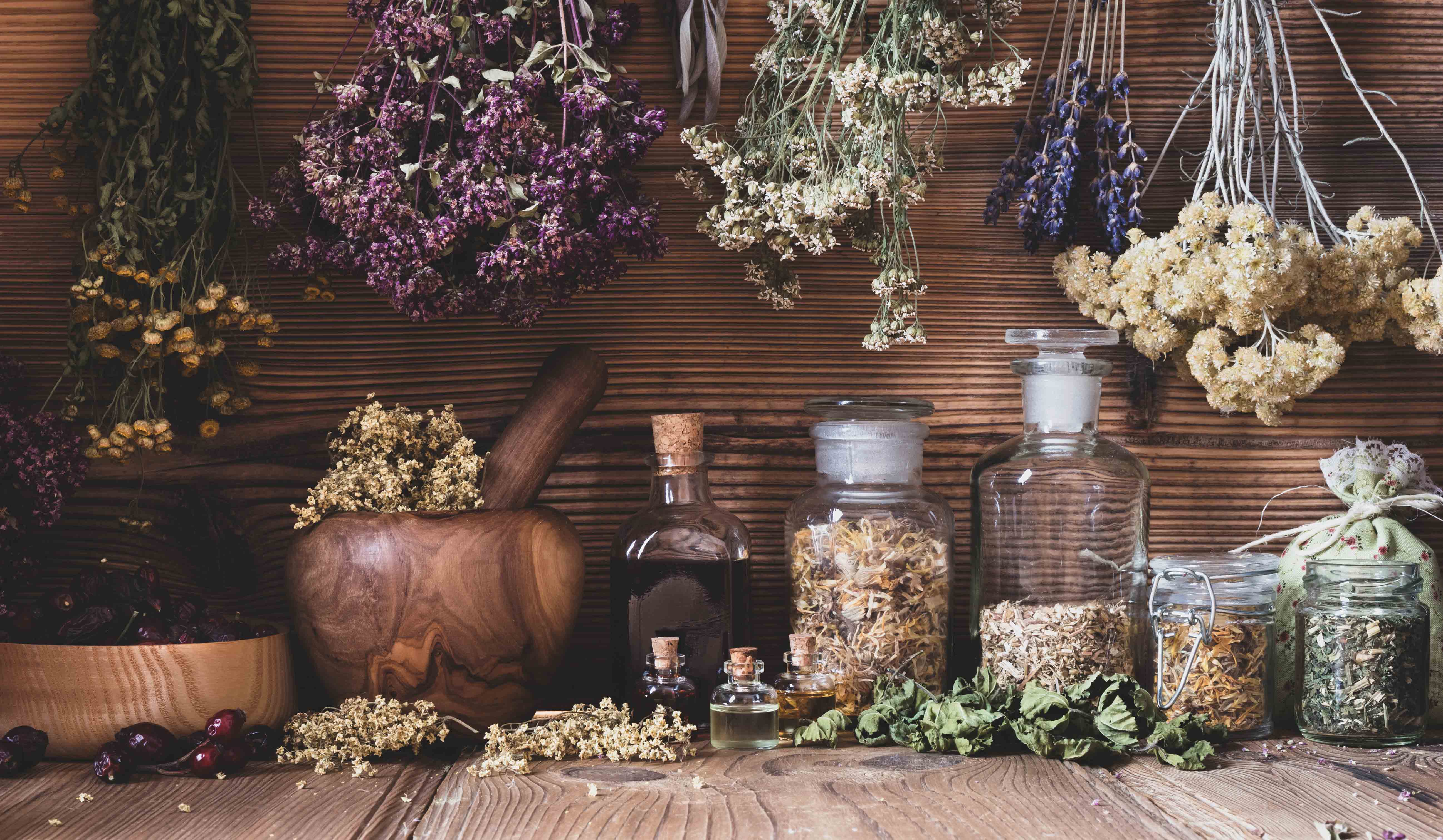 AdobeStock_249176015 AdobeStock_249176015