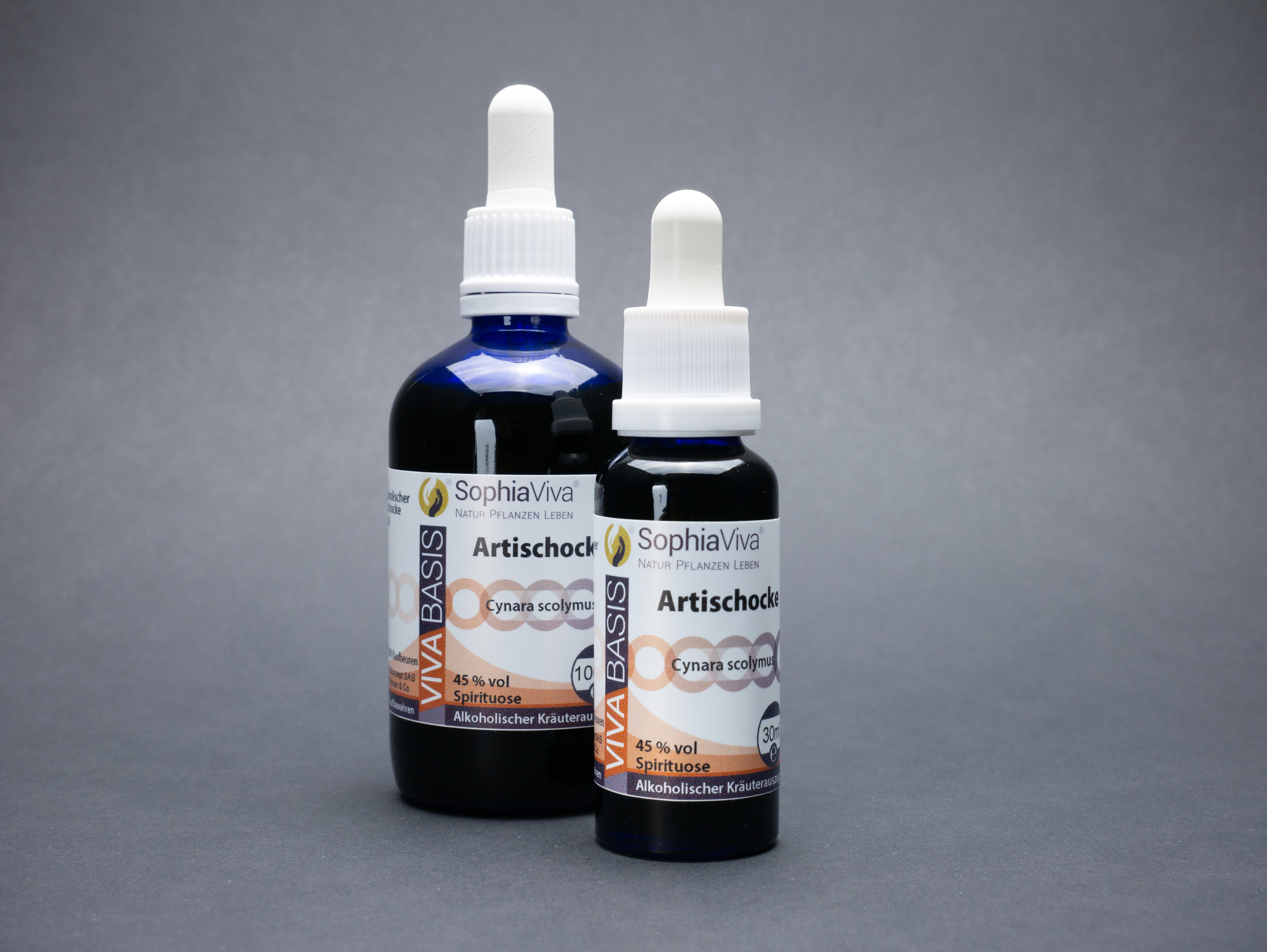 P1160268 VivaBasis Artischocke | Cynara scolymus