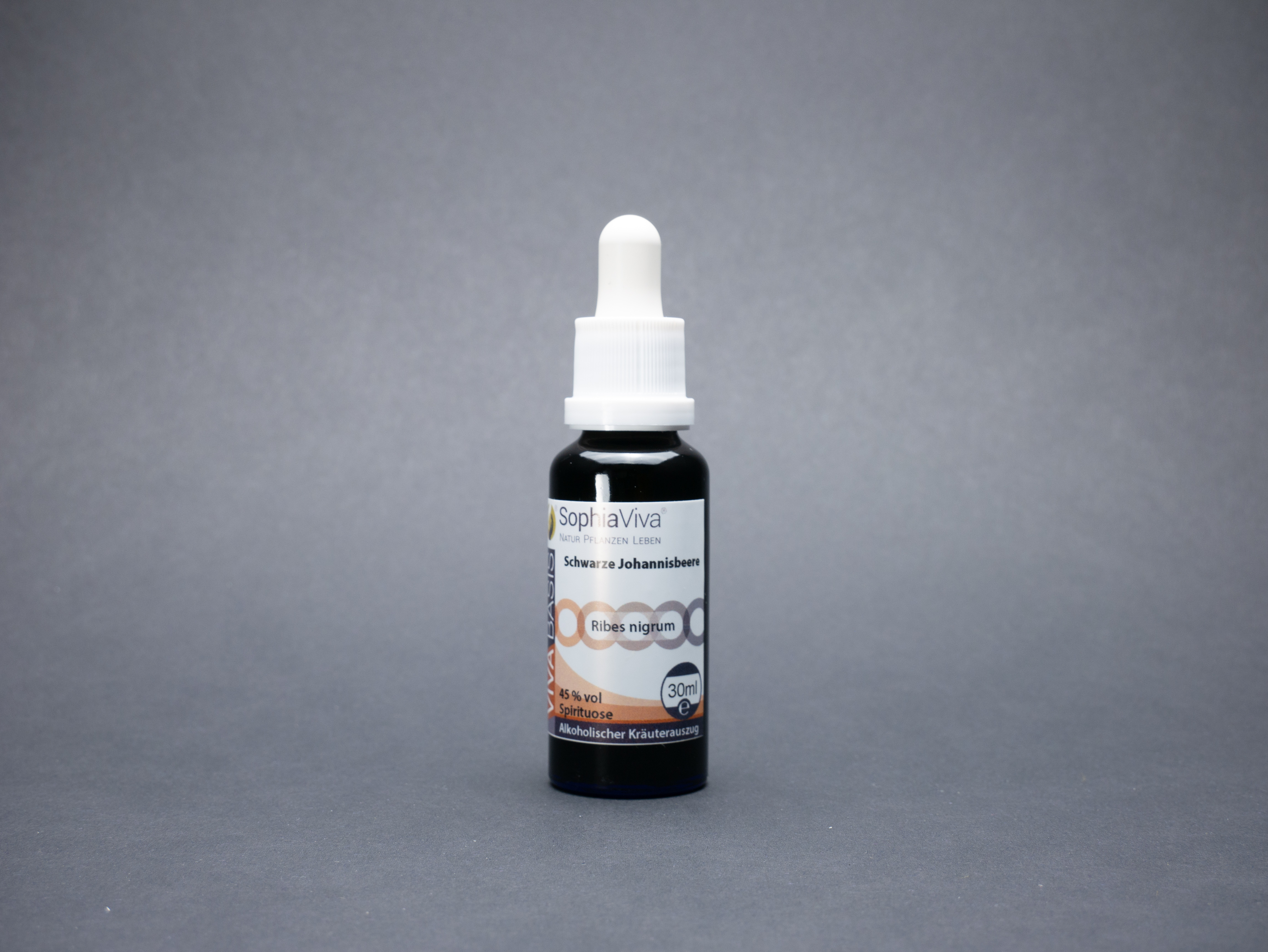 P1160378 VivaBasis Schwarze Johannisbeere | Ribes Nigrum + Gemmo