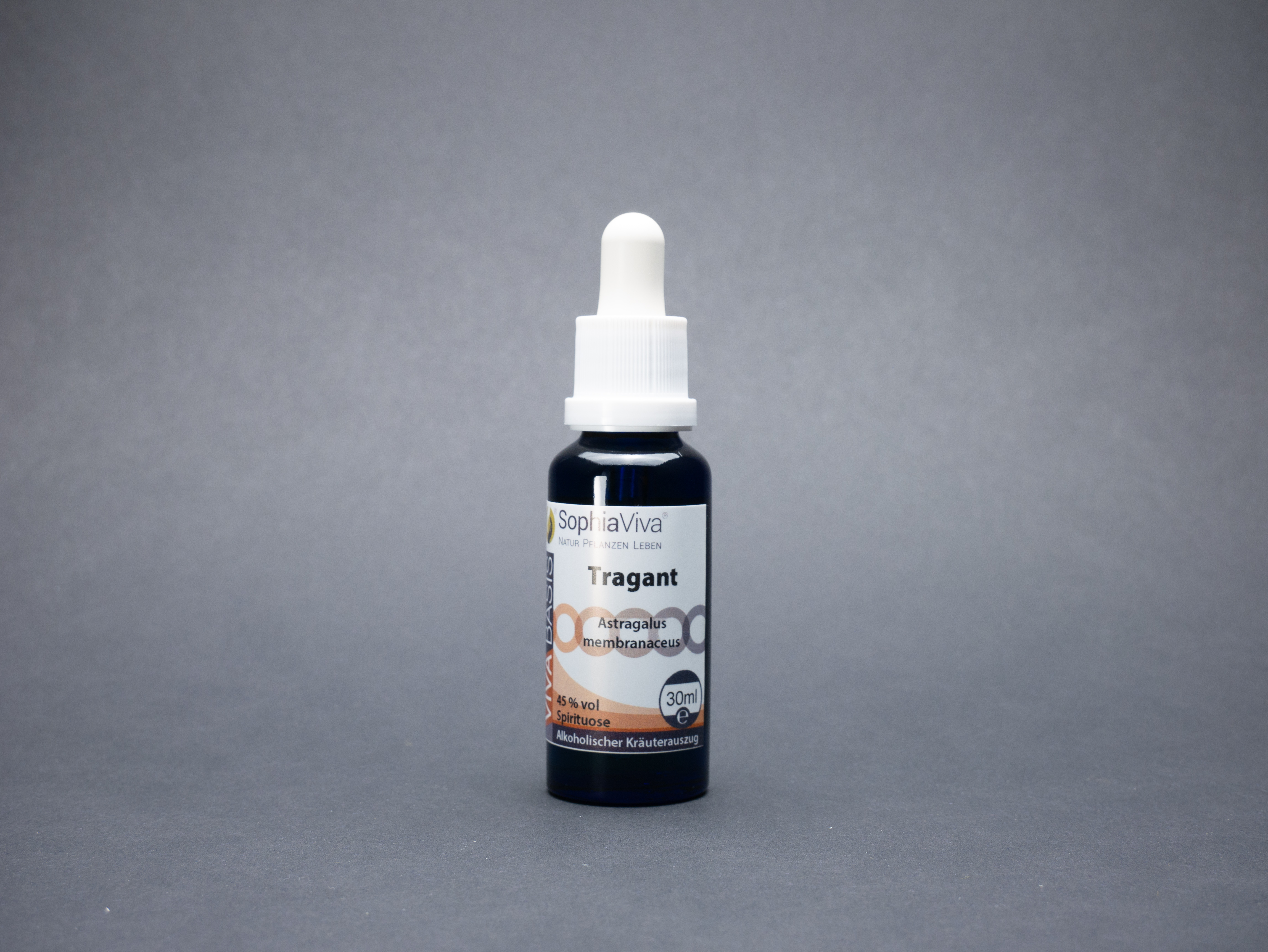 P1160384 VivaBasis Tragant | Astragalus membranaceus