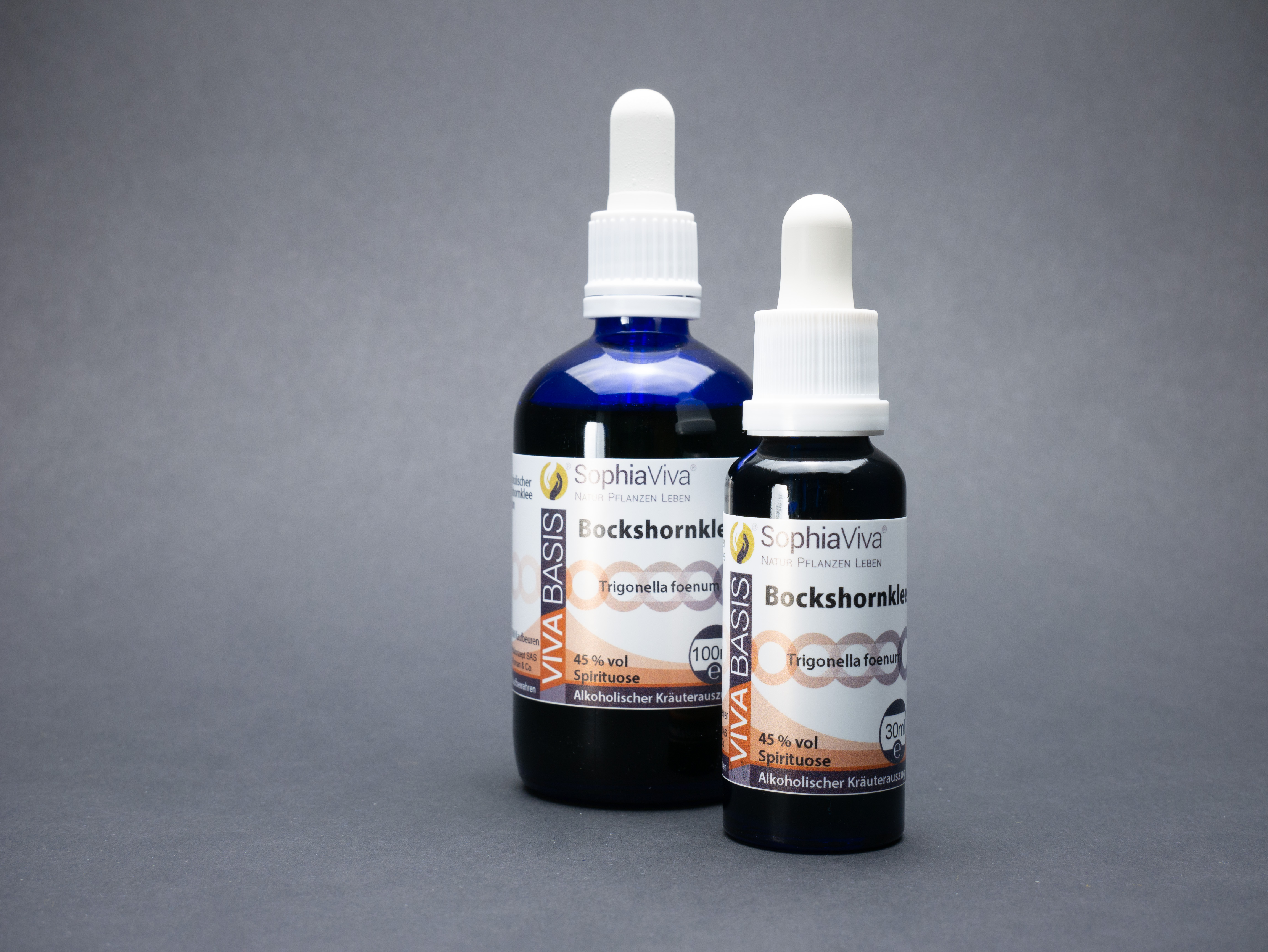 P1160308 VivaBasis Bockshornklee | Trigonella foenum graecum