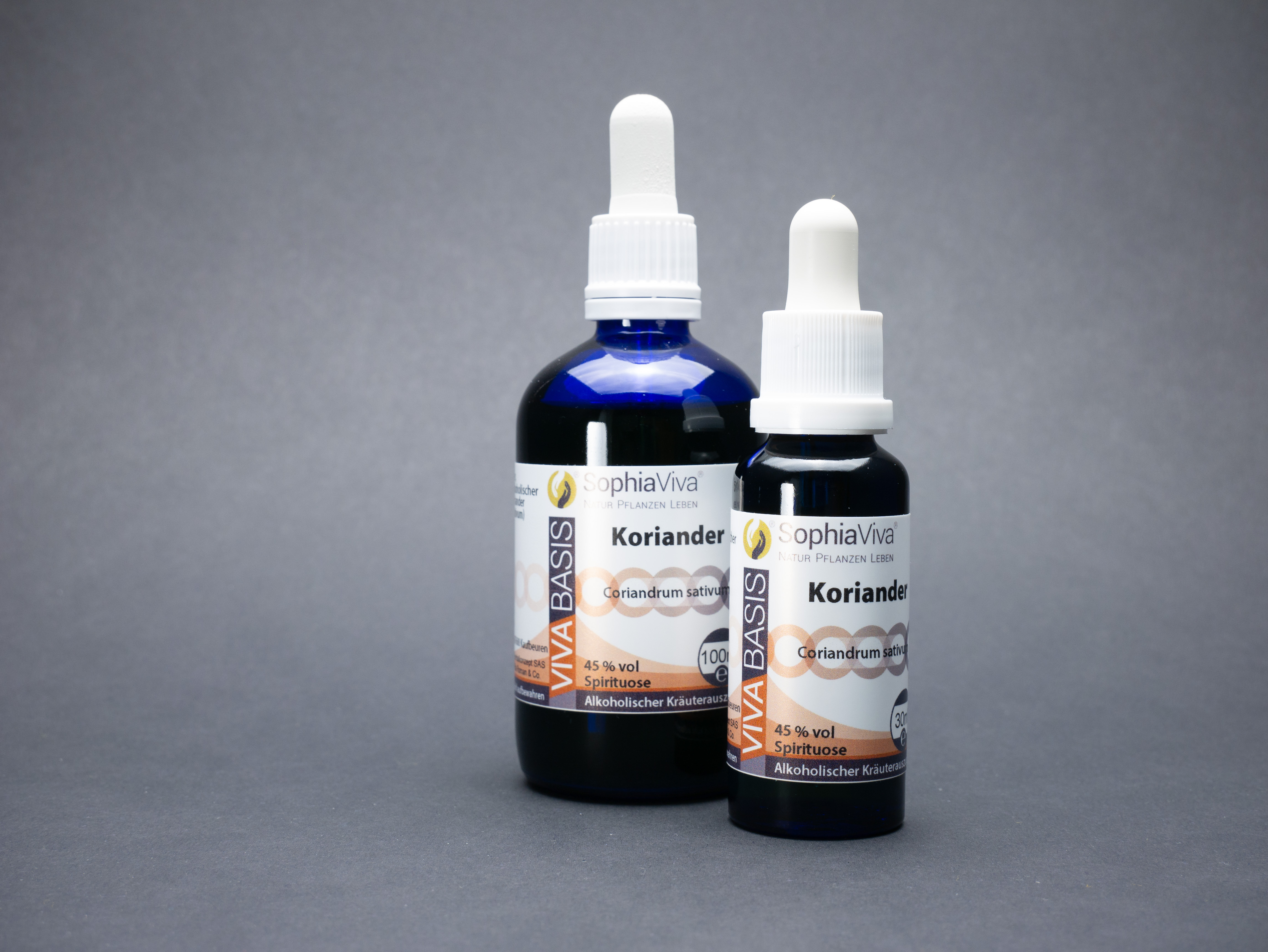 VivaBasis Koriander | Coriandrum sativum