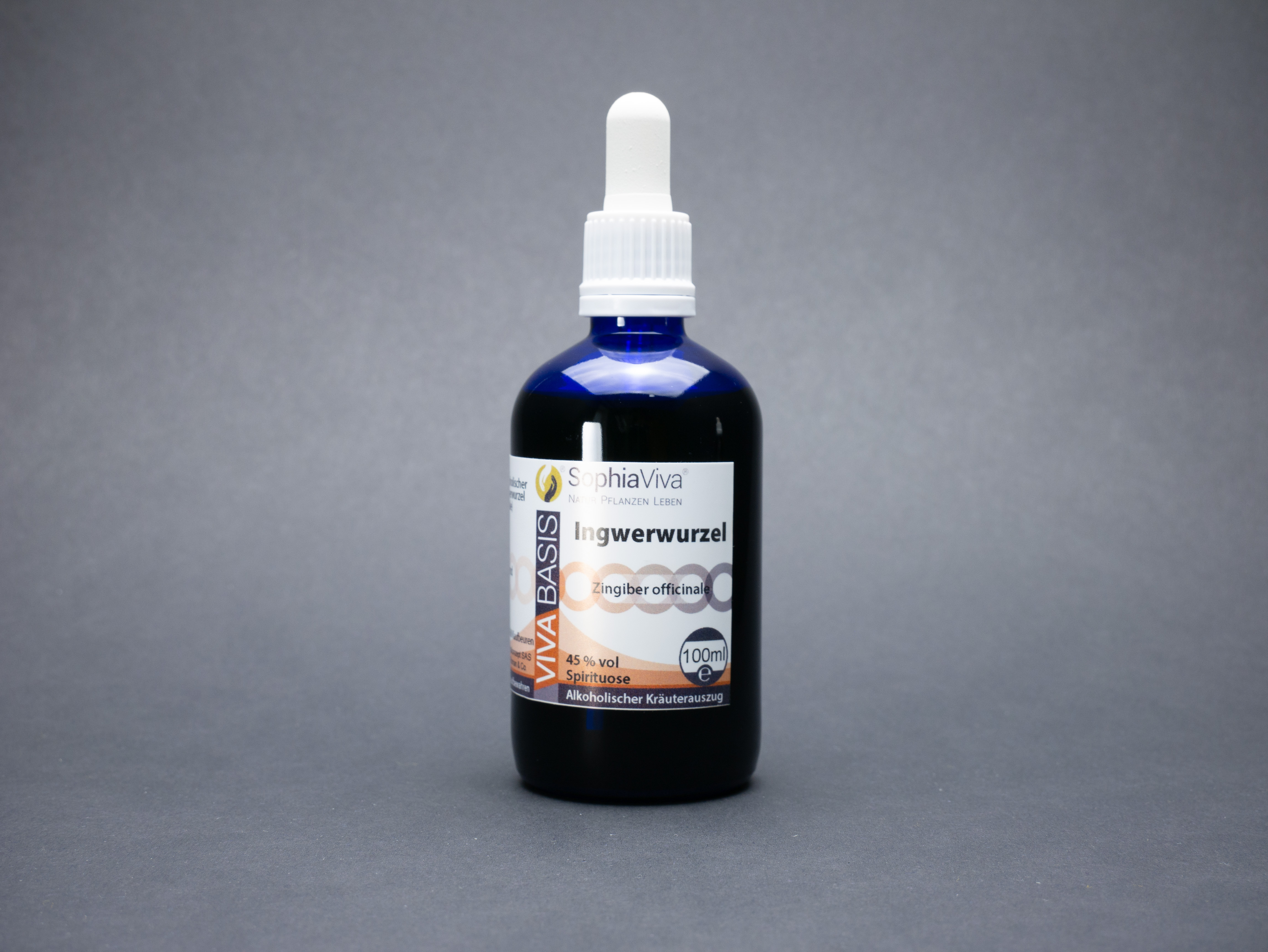 P1160319 VivaBasis Rotklee | Trifolium pratense