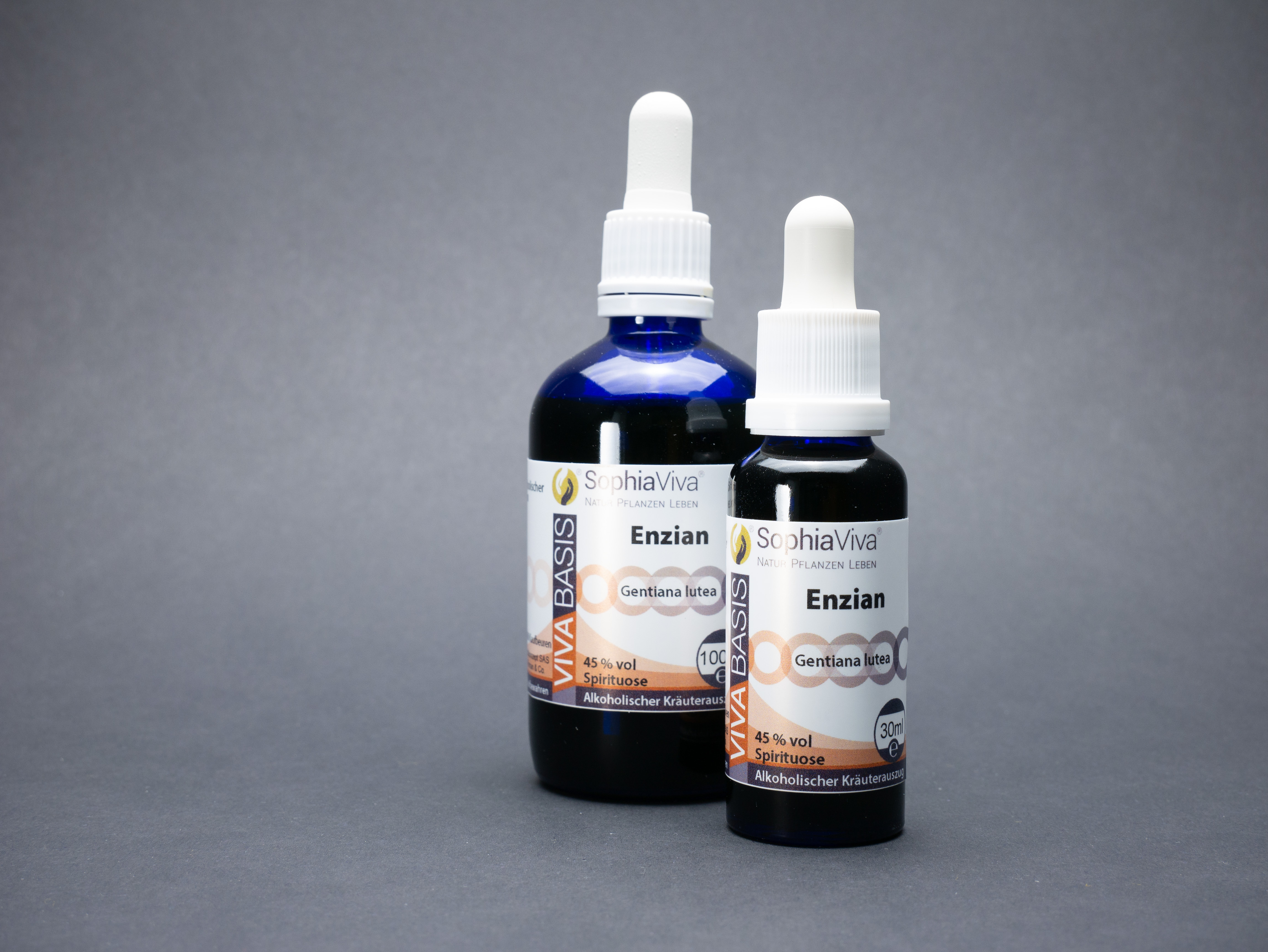 P1160299 VivaBasis Enzian | Gentiana lutea