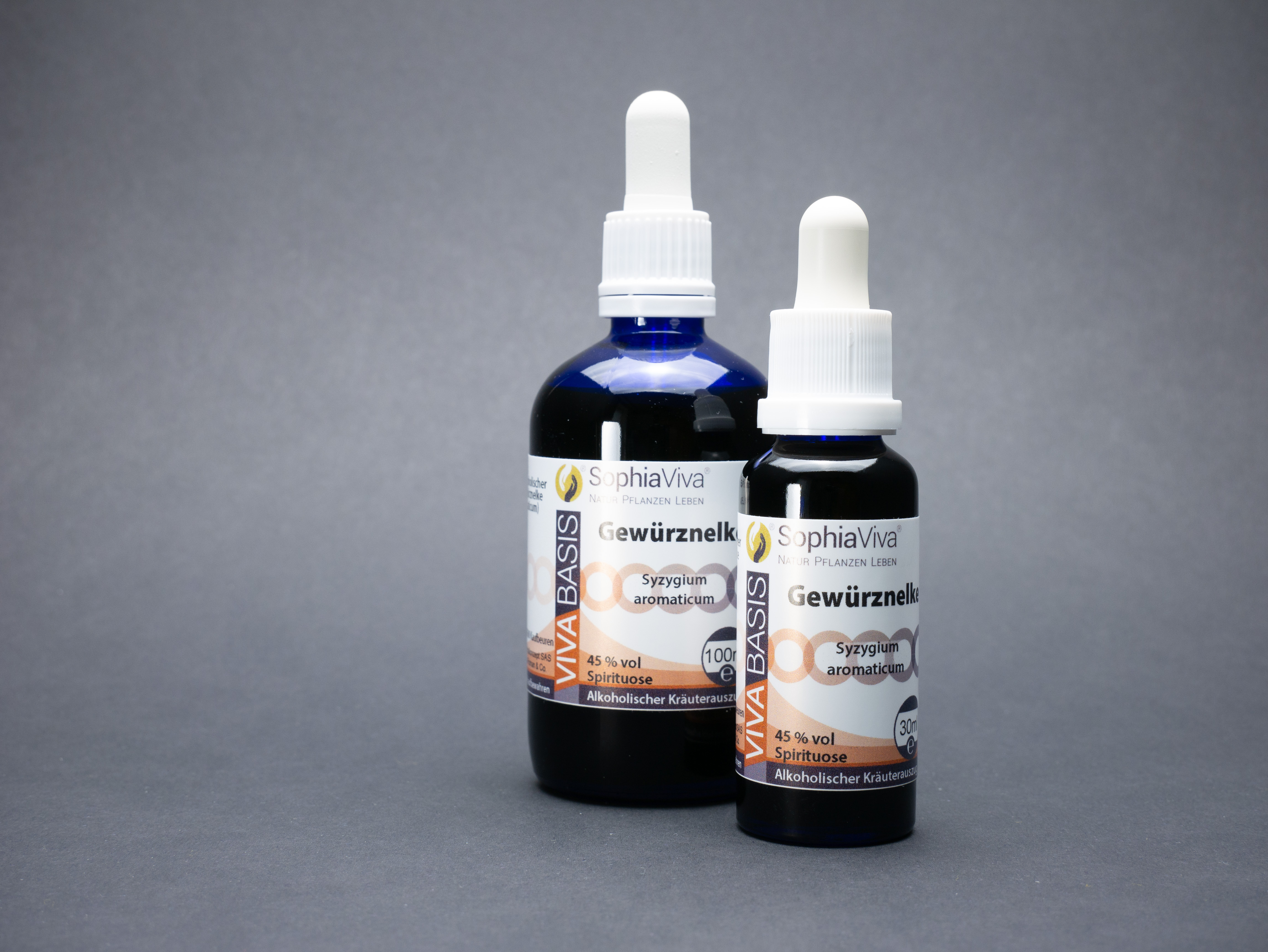 P1160305 VivaBasis Gewürznelke | Sysygium aromaticum