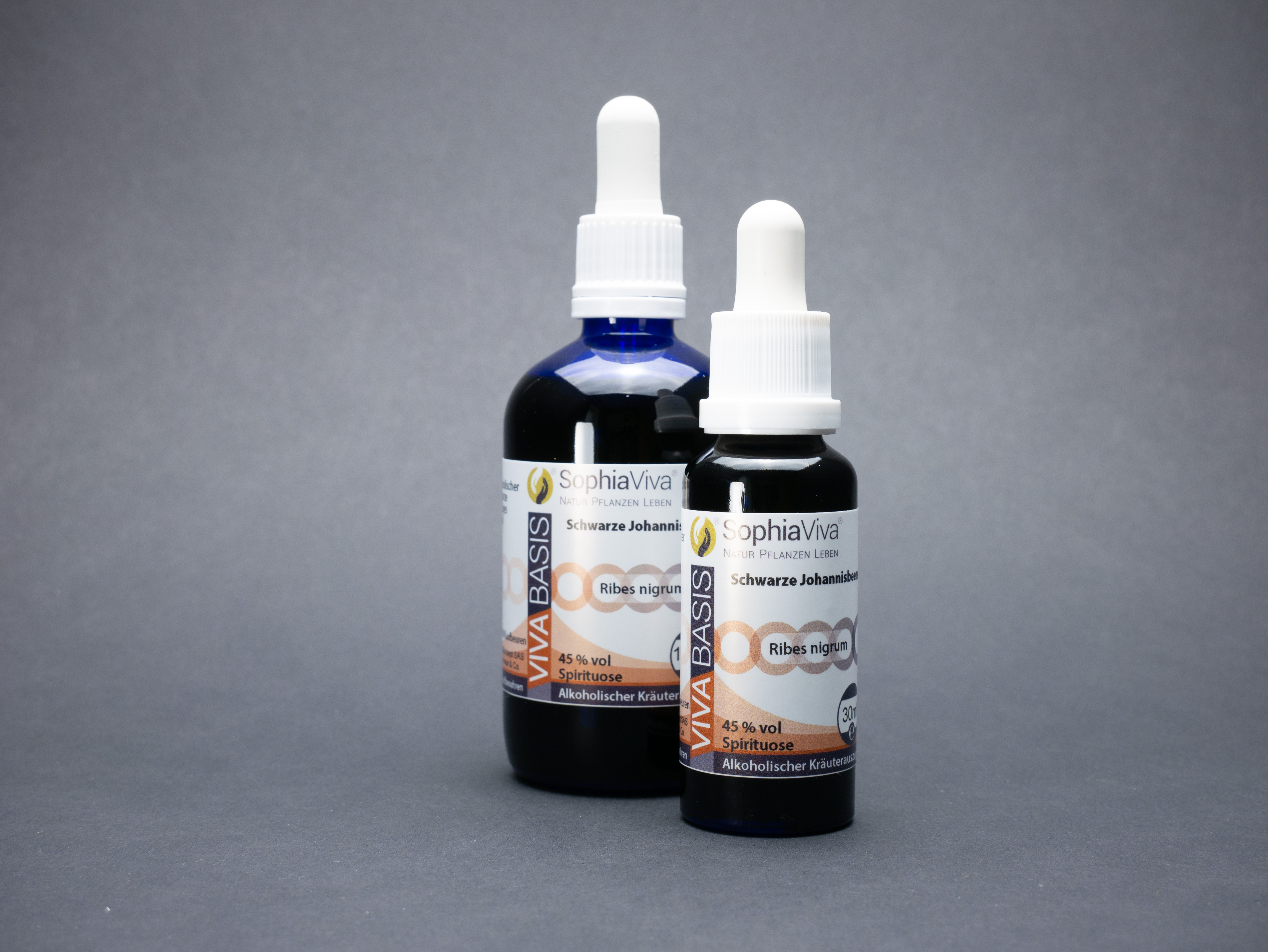 P1160380 VivaBasis Schwarze Johannisbeere | Ribes Nigrum + Gemmo