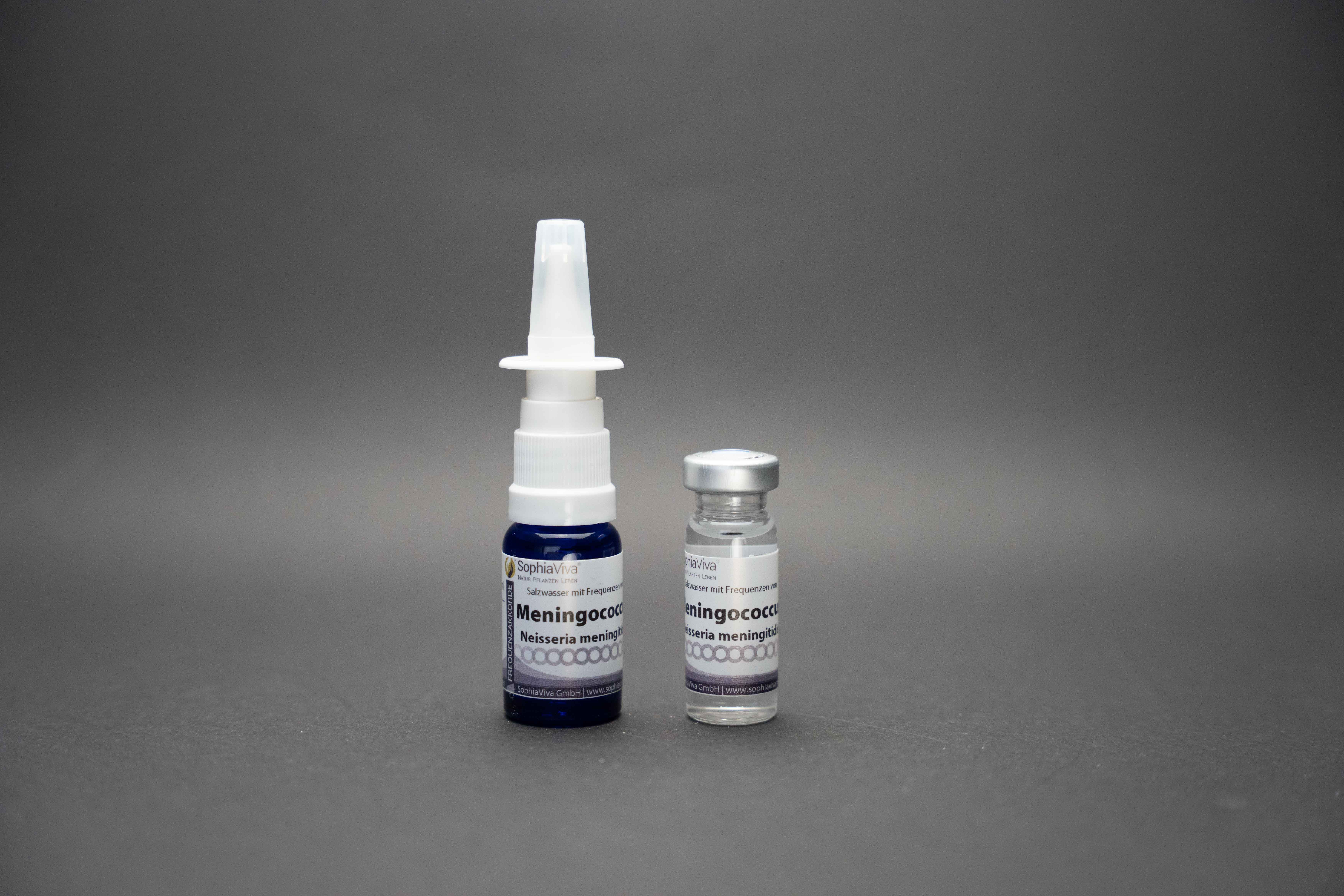 Meningococcus Frequenzakkord