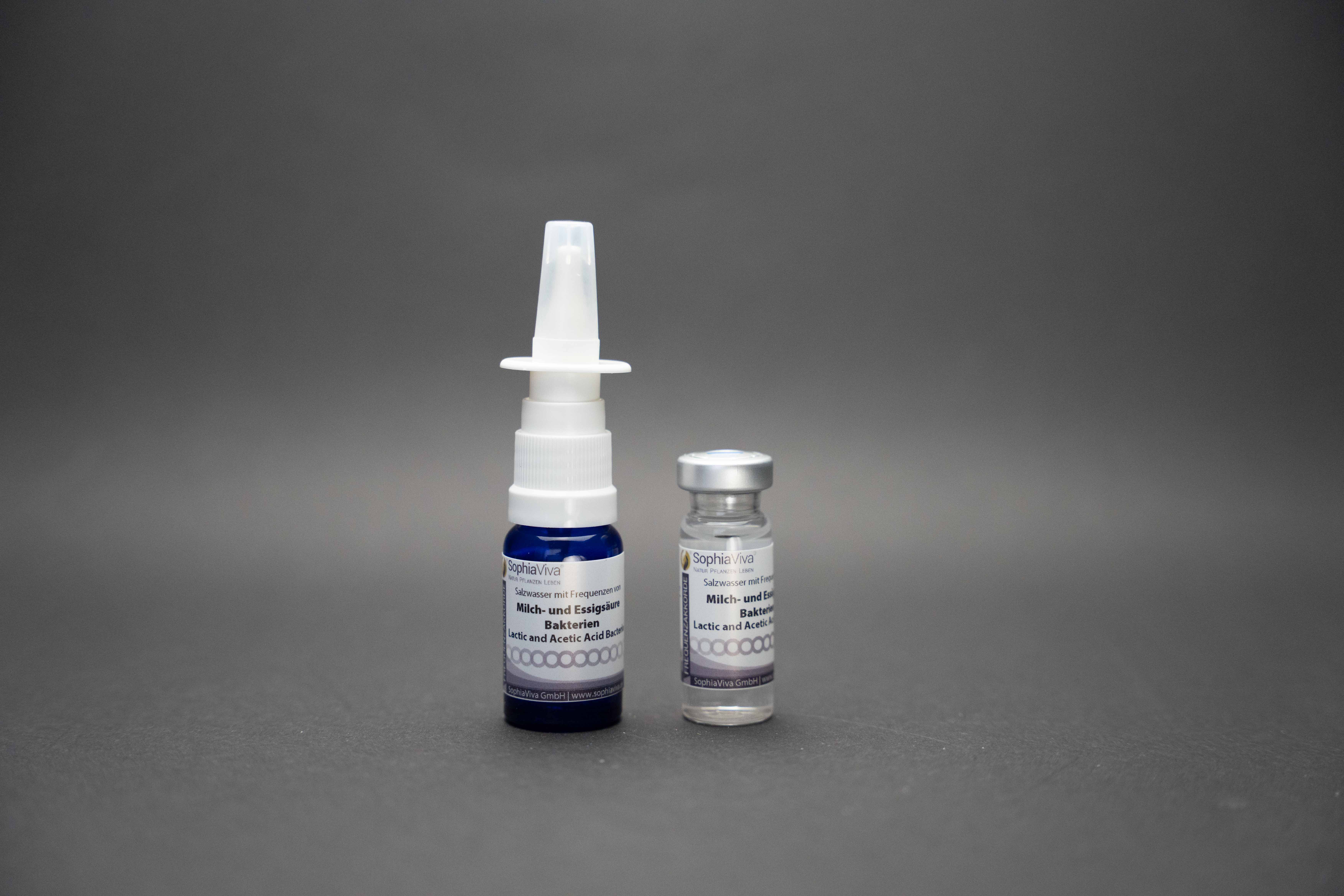 Lactic and acetic acid bacteria Frequency chord